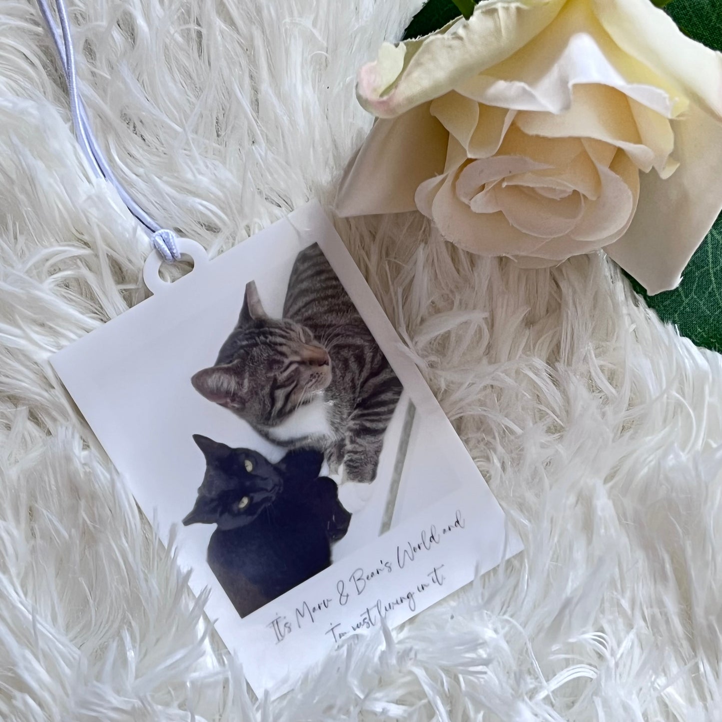 Personalised Photo Car Decoration